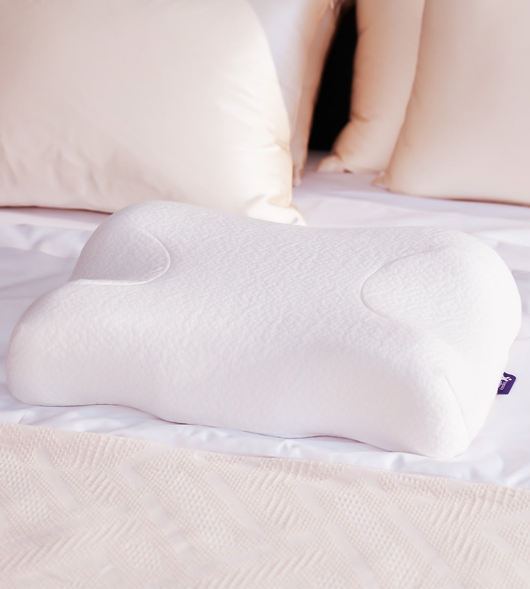 Kırışıklık Önleyici Ortopedik Güzellik Yastığı (Skin+ Yastık Kılıfı ile)