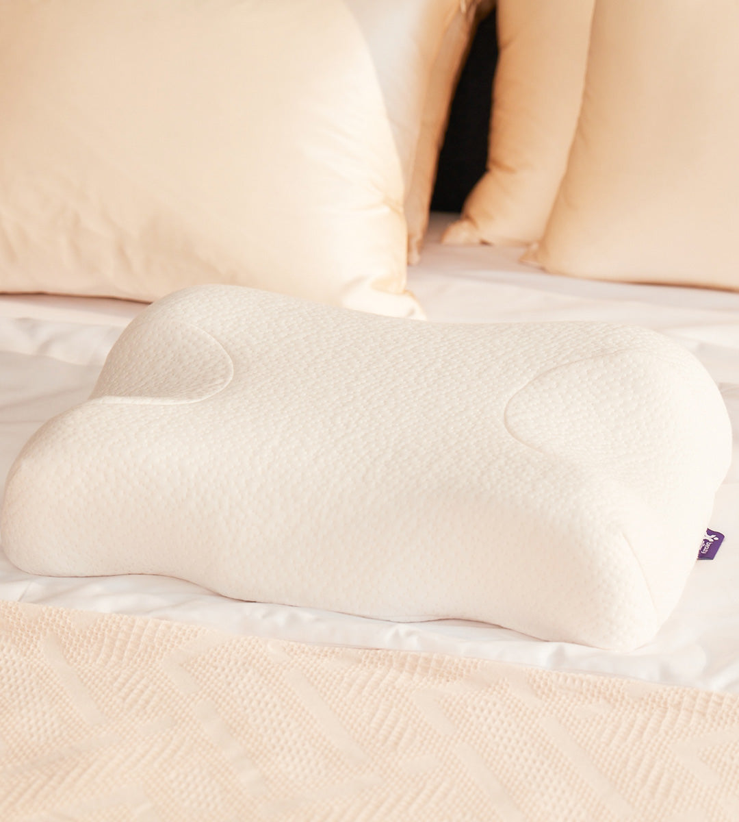 2 Adet Kırışıklık Önleyici Ortopedik Güzellik Yastığı (Skin+ Yastık Kılıfı ile)